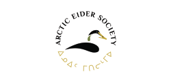 Société de l'Eider de l'Arctique